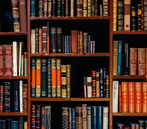 Regal voller Bücher